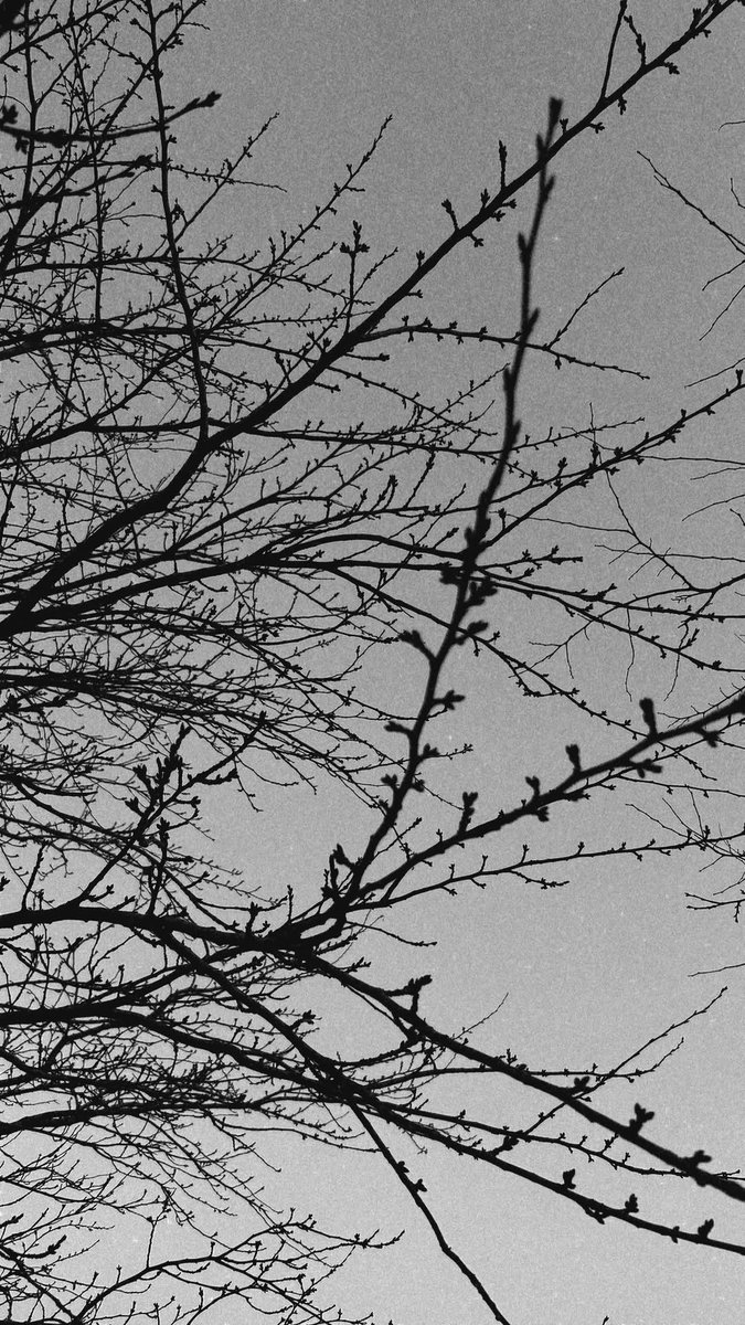 jeon yeobeen universe tweet media