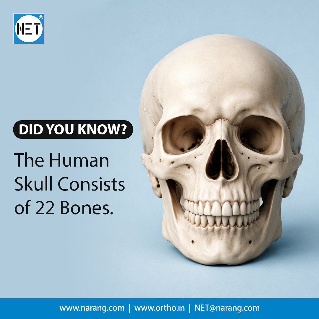 NET Facts
narang.com | ortho.in