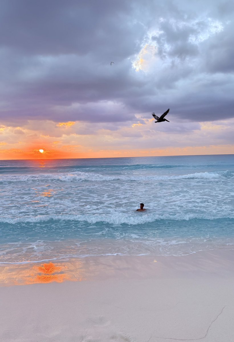 NegritoTab🇲🇽 tweet media