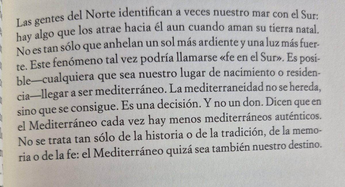 Reflectora tweet media