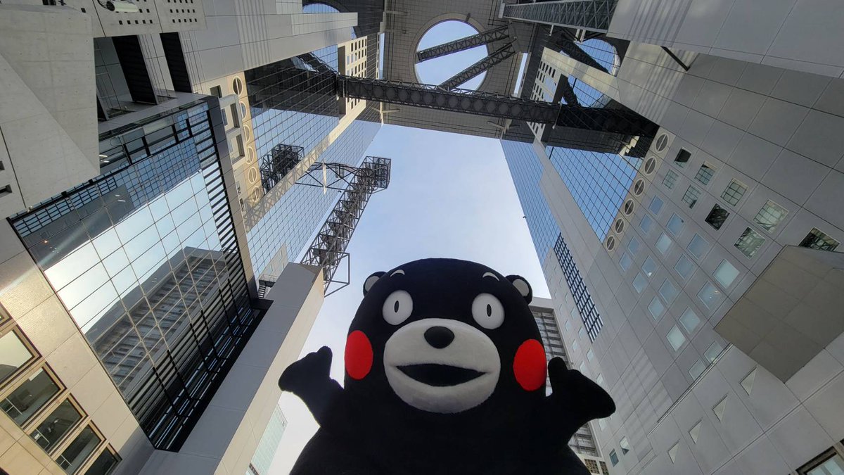 Post by たつやつた on X: おはくま〜😃