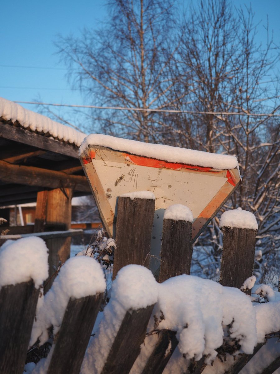 Ебенолог Глушеведович 🌲 tweet media