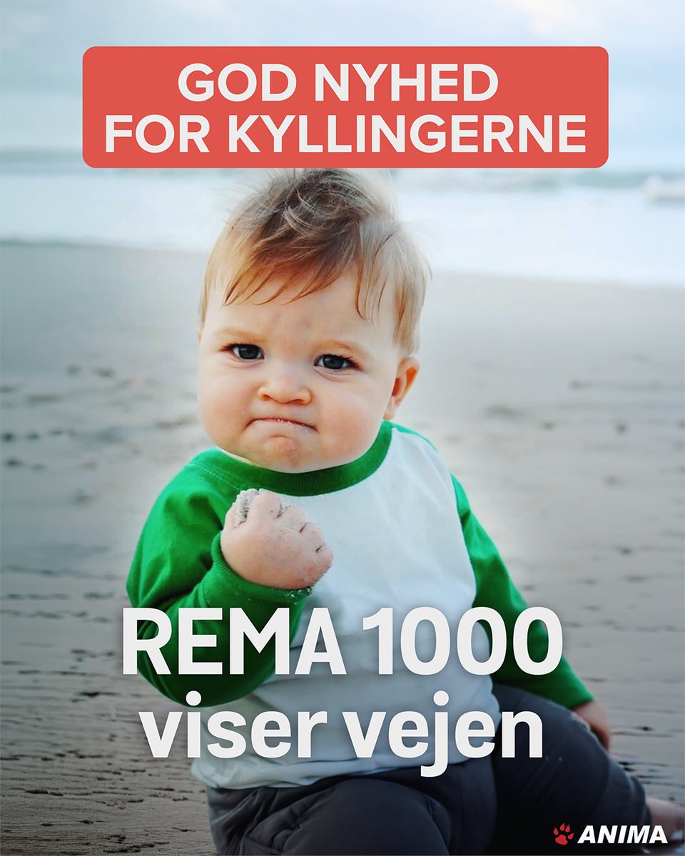 animadk's tweet photo. 🐔 Rema 1000 har udfaset turbokyllinger i hele deres ferske sortiment - og arbejder videre mod en fuldstændig udfasning i sammensatte produkter samt frostvarer. Det betyder et bedre liv for 15.000.000 kyllinger.
Godt gået, @rema1000dk 👏
#dkbiz #rema1000 #anima #turbokyllinger https://t.co/sl5GZF6F0N