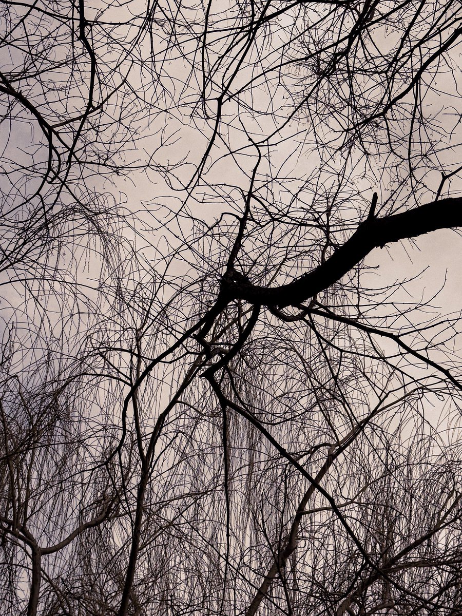 Bones of the Sky
iPhone pic