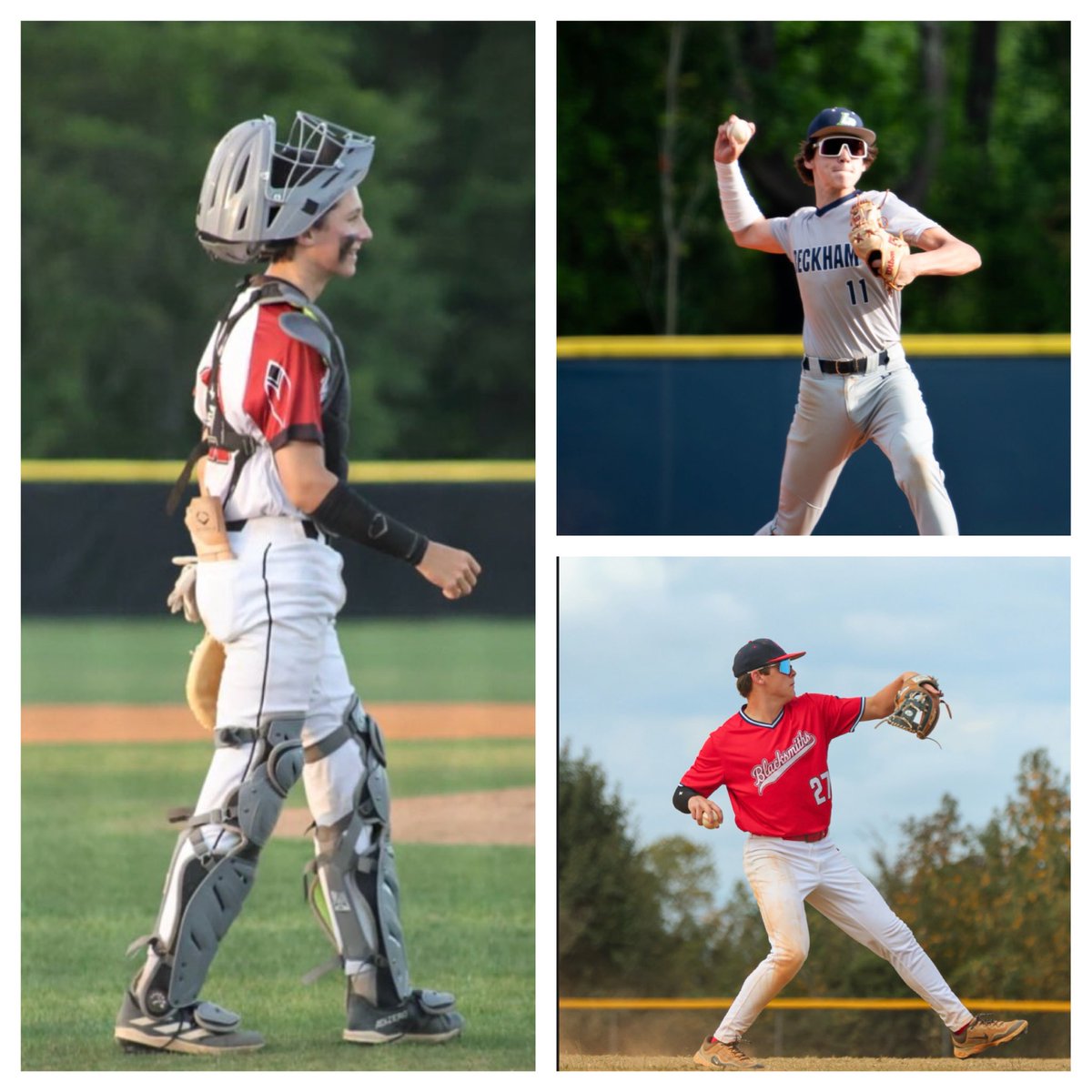 Palmetto Blacksmiths Baseball tweet media