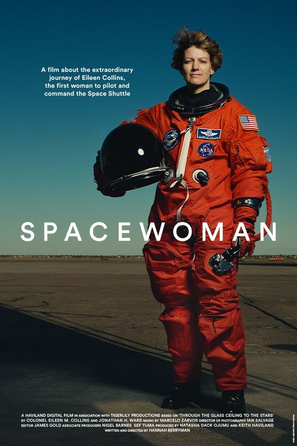 Stern & Wild tweet media