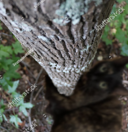 trackingvoid tweet media