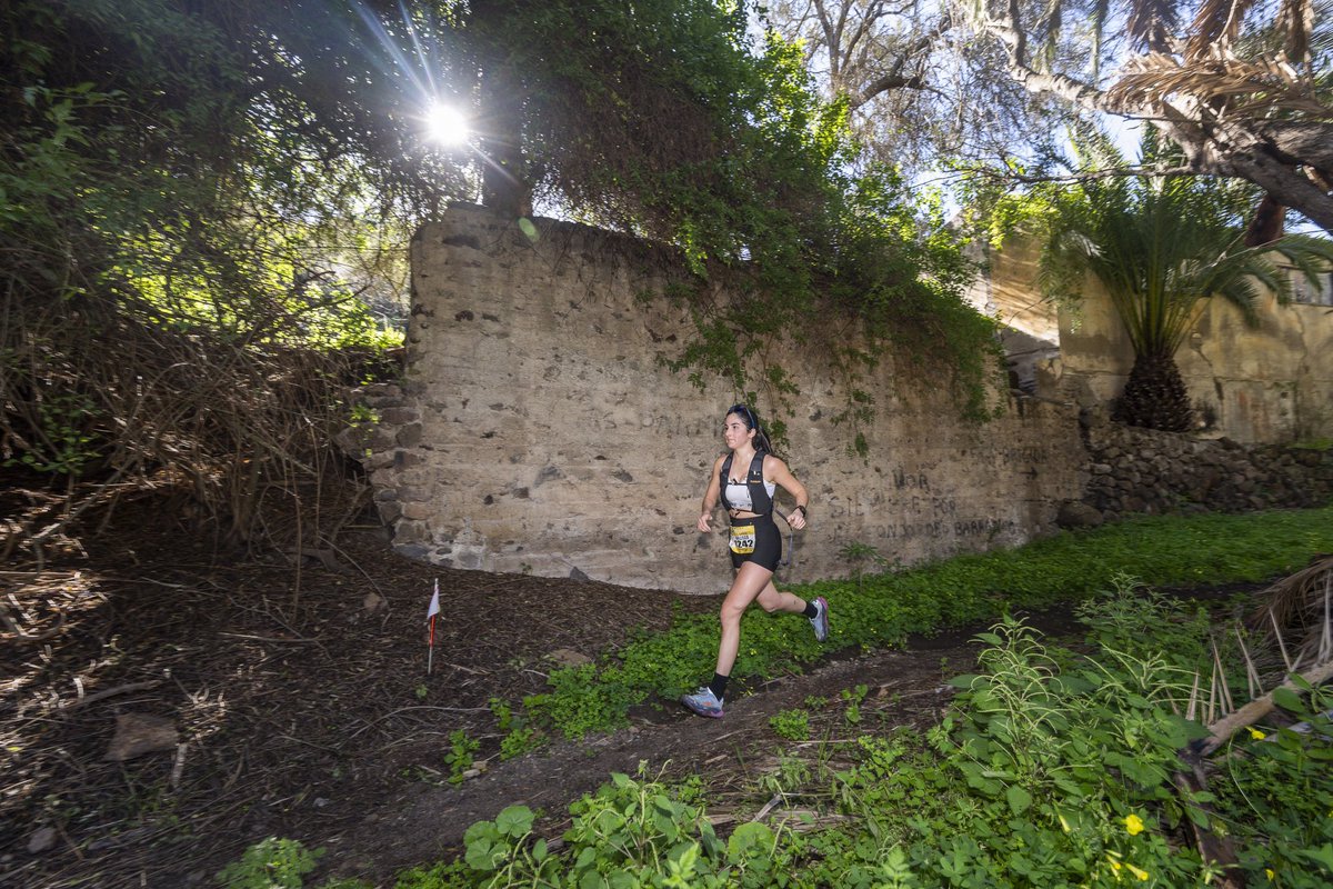 TodoGolesRadio's tweet photo. 🏃♂️🌄 La #LPATrail 2026 cuelga el ‘sold out’ con +1.100 inscritos para el 15M en @aytolpgc. Tres distancias (19K, 11K y 5K), LPA Kids y récord femenino (40%). 28 nacionalidades en una cita ya fija del calendario capitalino. 🌍🔥 #TrailRunning #GranCanaria #TGR 📻🎙️ https://t.co/su7VLlILH5