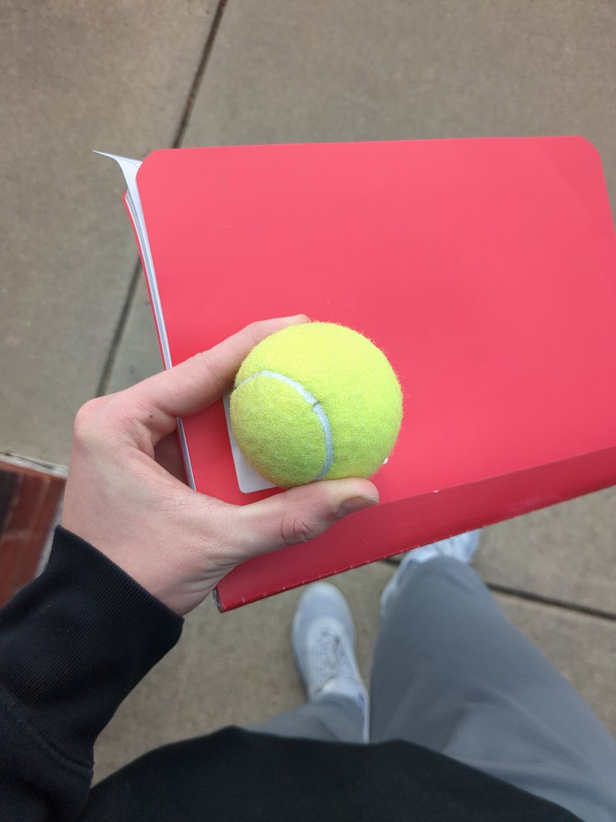 Just thought I would share, I found a ball yesterday :3