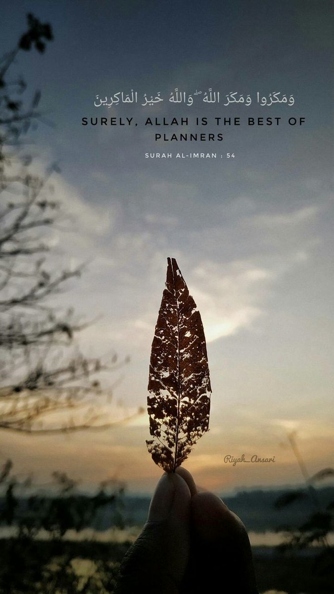 Devilsnare Fizz | Web3 QA tweet media