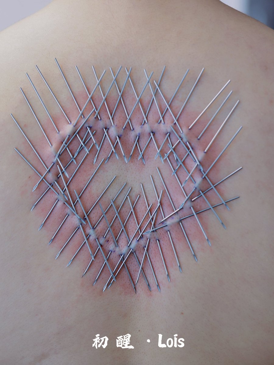 初醒·Lois tweet media