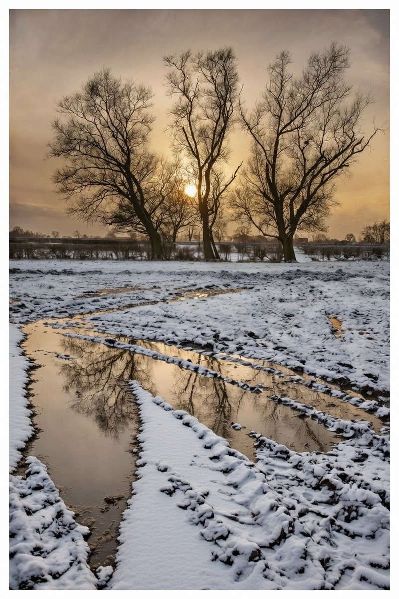 Landscape near Bilbrough 2021. ⁦<a href="/ShiresGirl/">Karen Weston 💙</a>⁩ ⁦<a href="/julescporter/">Millartron</a>⁩ ⁦<a href="/JCadd/">Julie Caddell</a>⁩ ⁦<a href="/5Naureen/">Naureen Khalid</a>⁩ ⁦<a href="/serudd1960/">Susan Rudd</a>⁩ ⁦<a href="/FrostlynneLynn/">Lynne Frost</a>⁩