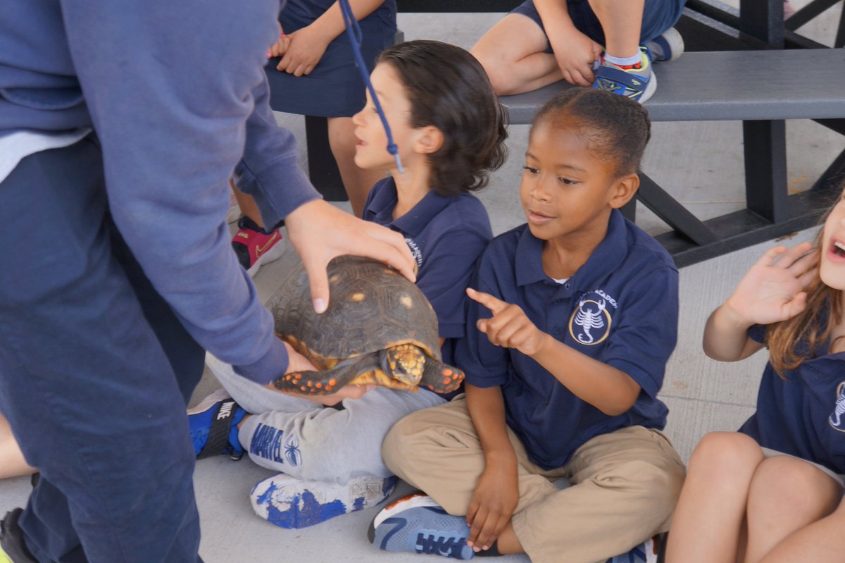 Brandon Academy 🦂 tweet media