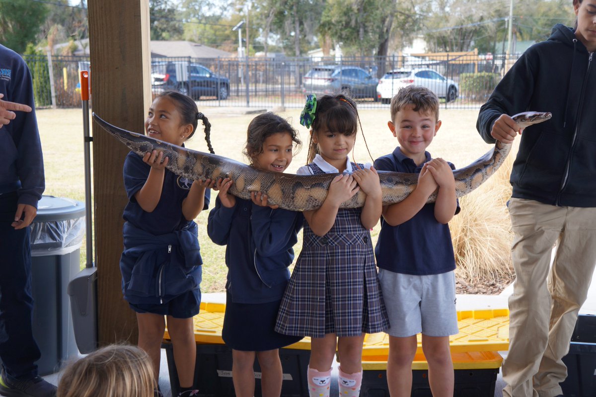 Brandon Academy 🦂 tweet media