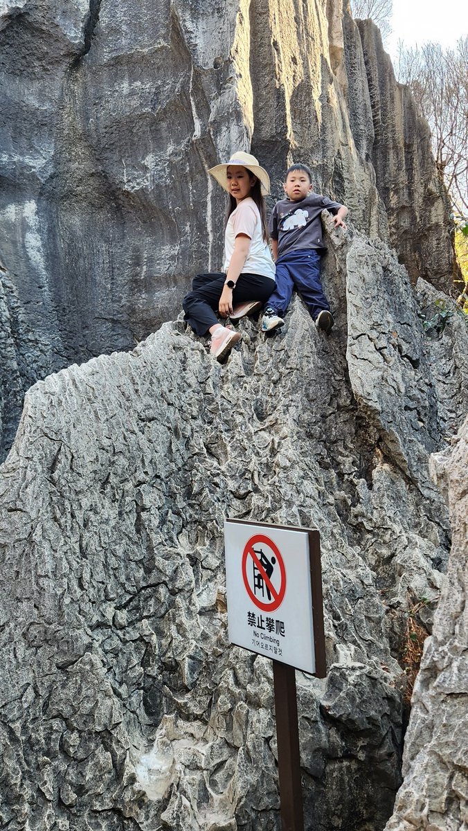 旅ランFIRE（YouTuber）@FIRE1年目、世界2周くらい tweet media