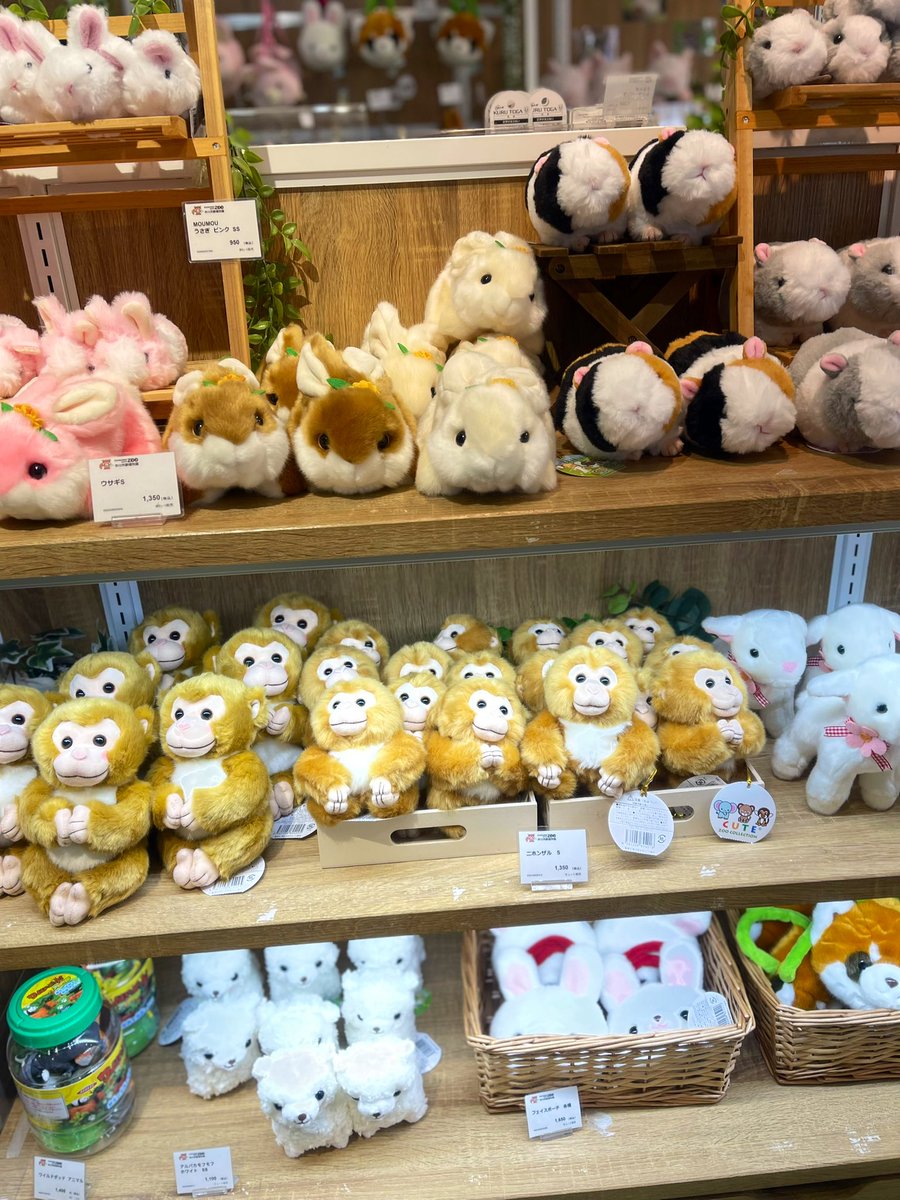 市川動植物園 ニホンザルのぬいぐるみ（S）10:30に行ったときはあった