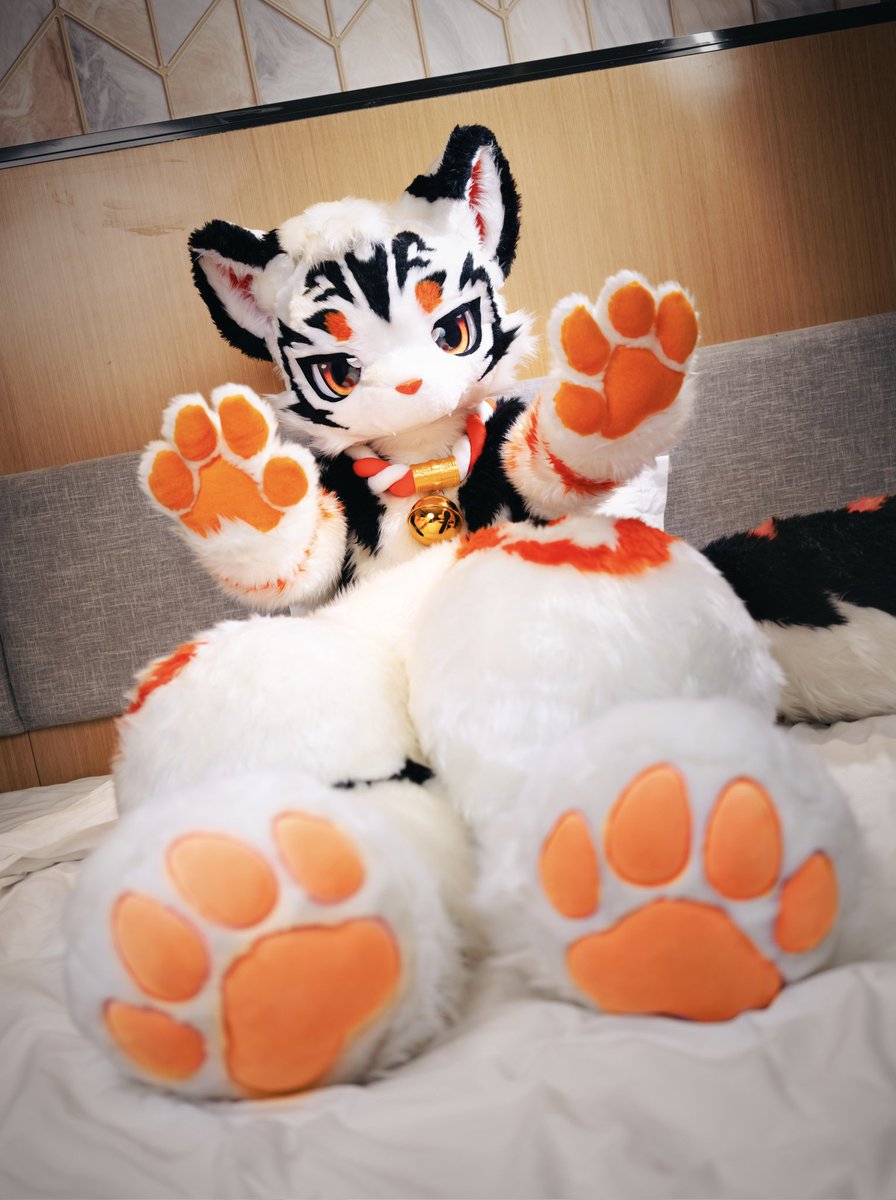 秋橙🍊あきとら tweet media