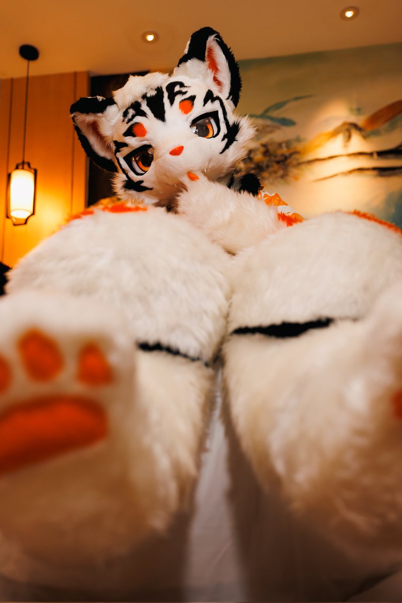 秋橙🍊あきとら tweet media