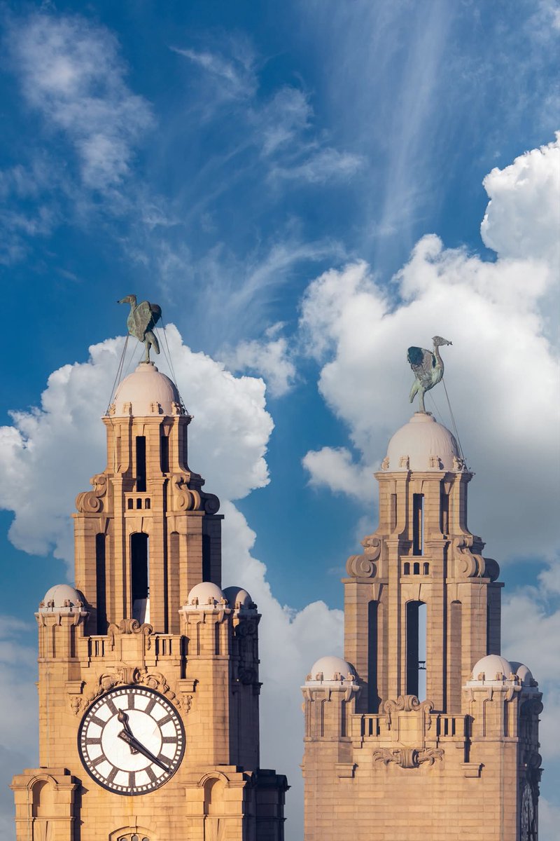 Liverpool Vista tweet media