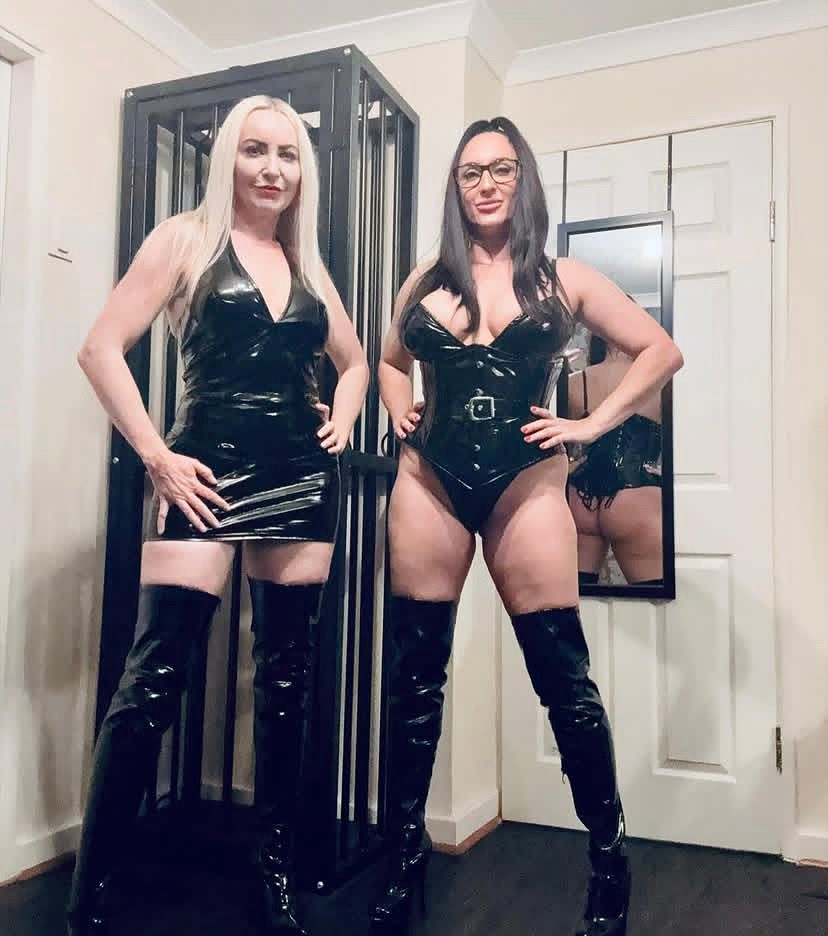 ToxicBot00's tweet image. Shall we play? Just remember, I lead 🎲😈