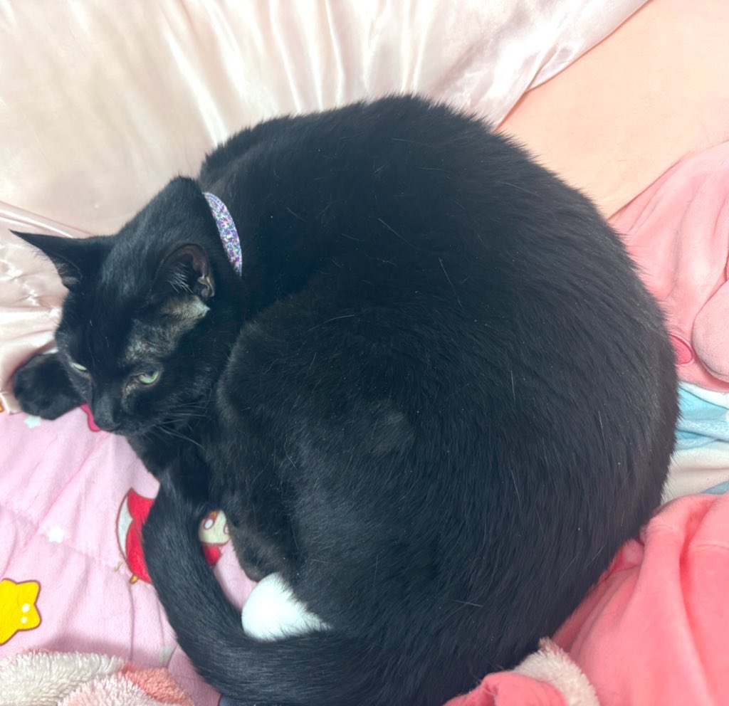 まさにこれでございます