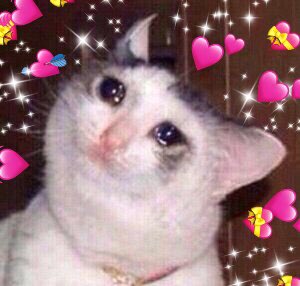 Bblk🥒 tweet media