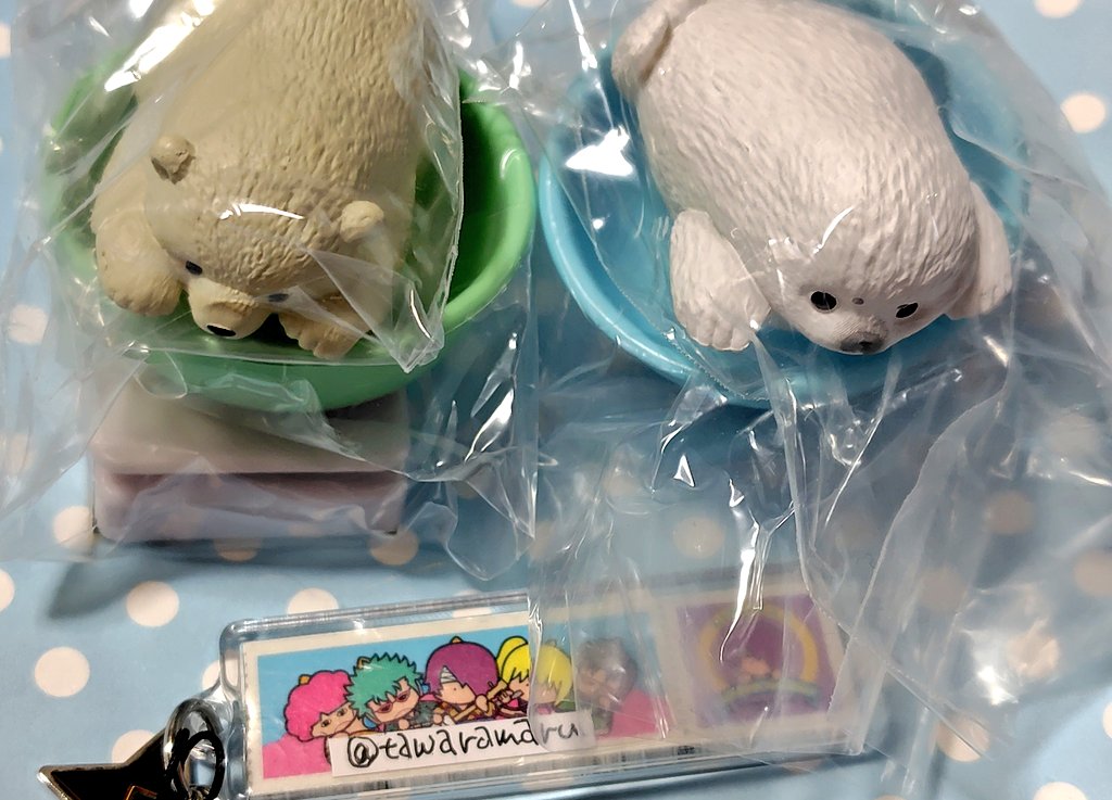 100%タワティンでーす tweet media