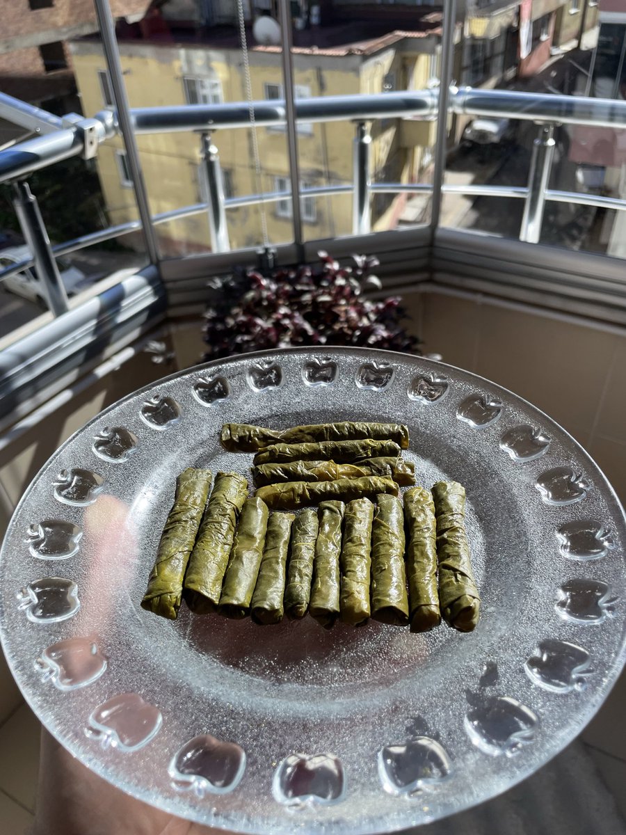 Bu eller sadece tvit atmıyor vol 4509