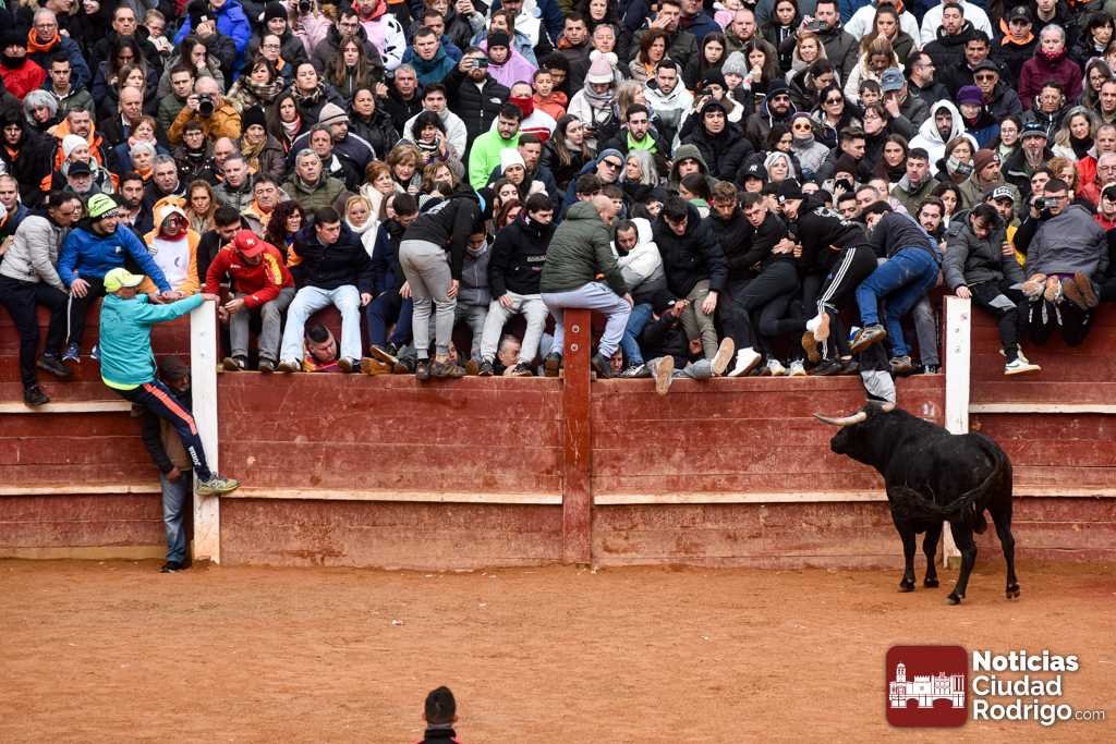 El <a href="/PSOEMIROBRIGA/">PSOE Ciudad Rodrigo</a>  critica la ausencia de espectáculos de ocio durante el Carnaval y pide la regularización de los burladeros

noticiasciudadrodrigo.com/2026/02/20/el-…
