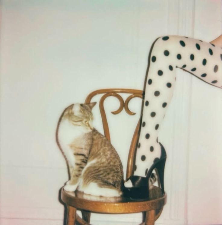 ଘ(੭*ˊᵕˋ)੭* ੈ♡‧₊˚ tweet media