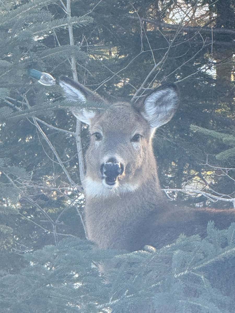 Janice Landry tweet media