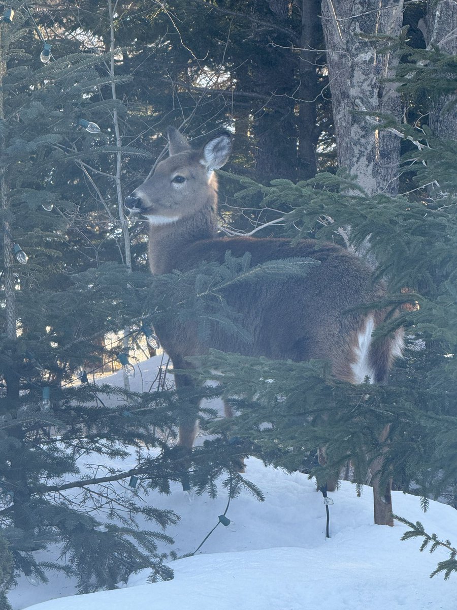 Janice Landry tweet media