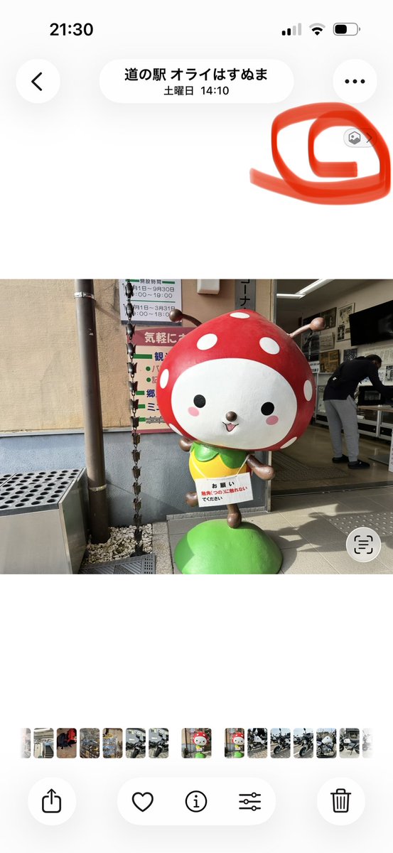 いぬ🧌 (@inukichirider) / Posts / X