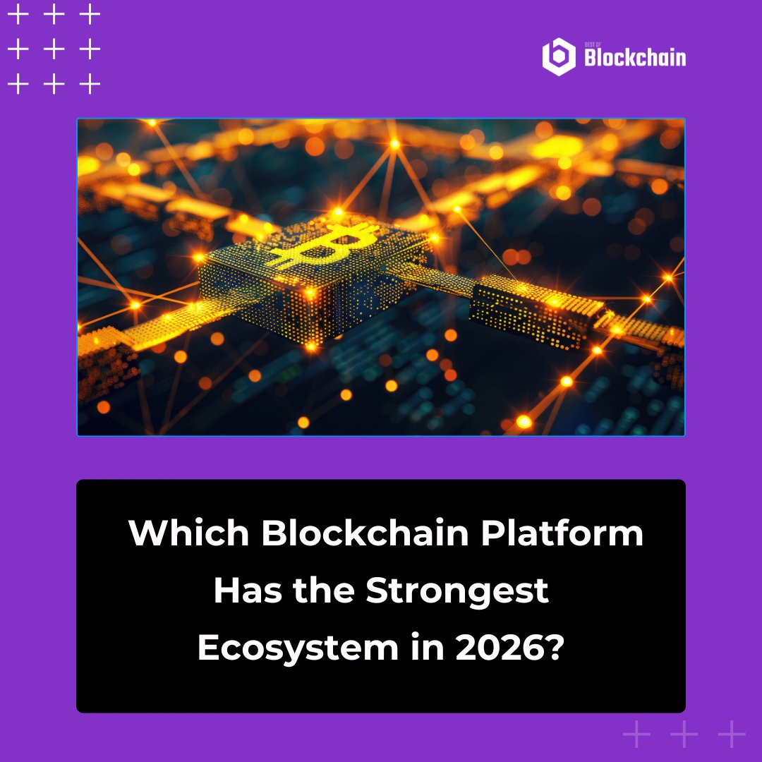 The Best of Blockchain tweet media