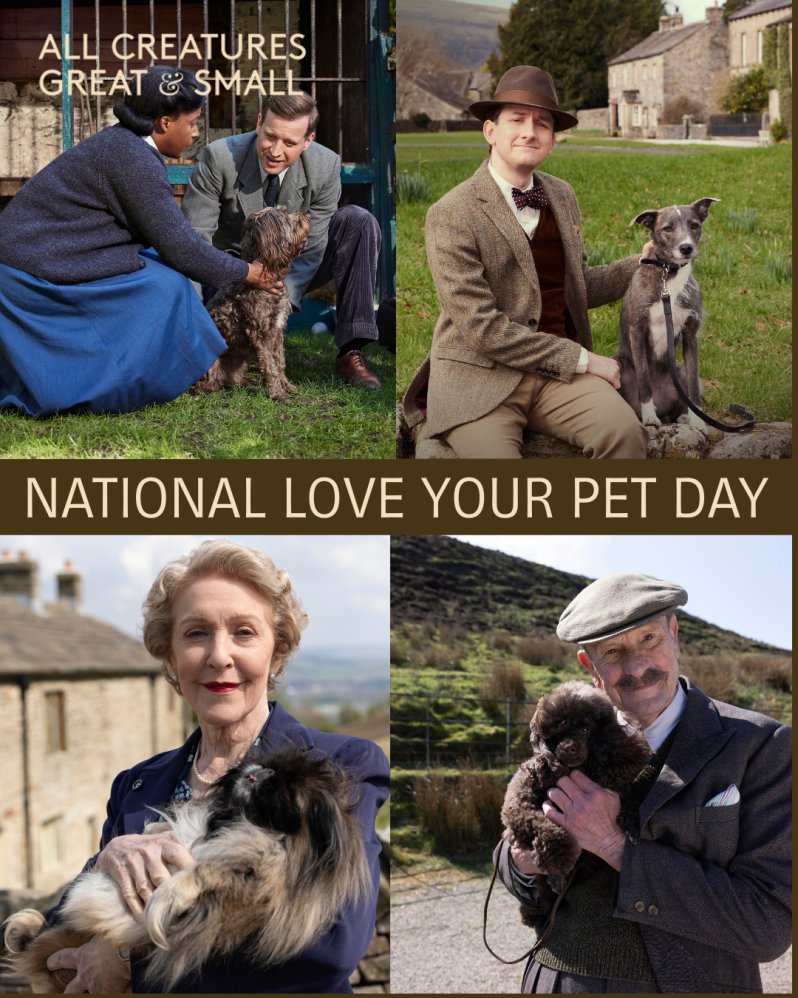 All Creatures Great and Small tweet media