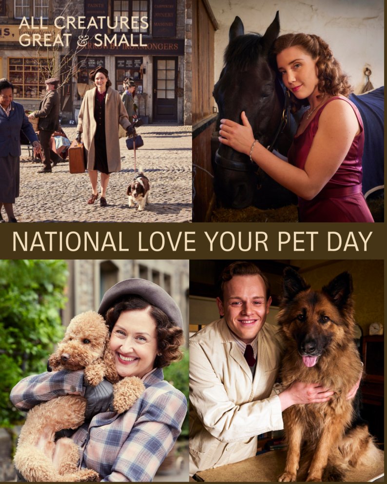 All Creatures Great and Small tweet media