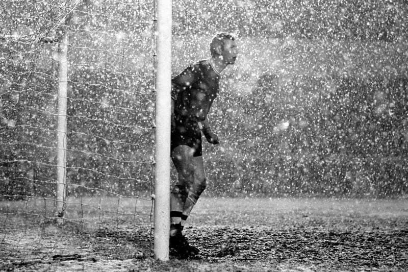 ArsenalIrish🔴🇮🇪 tweet media