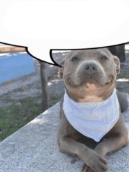 WAITER WAITER!!!
MORE SHORT BOY X TALL GIRL PROPAGANDA PLZ