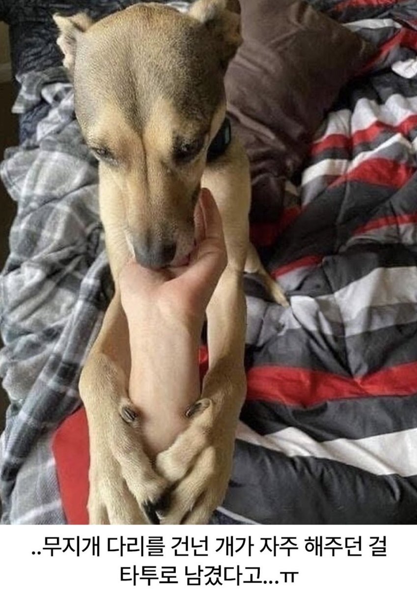 어느 남자의 특이한 타투 

뭉클하고 짠하네♥️