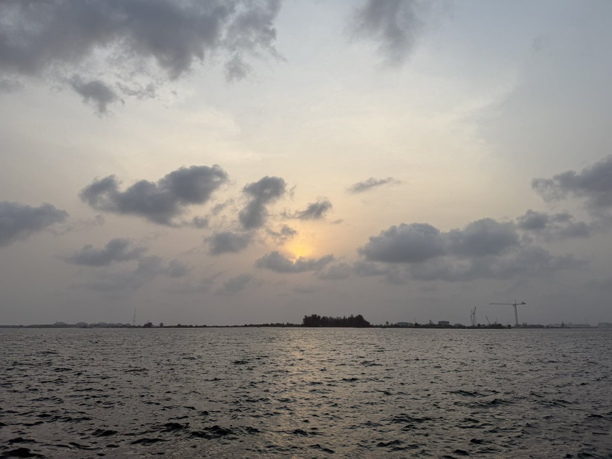 🦡Bákàrè tweet media