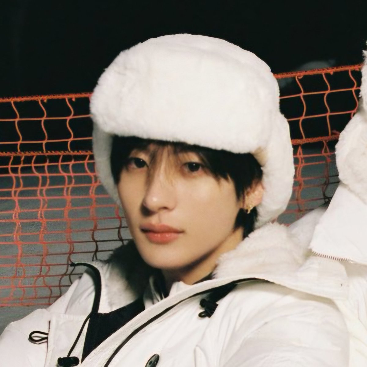 어 우리 집에도 있어요 저 강아지