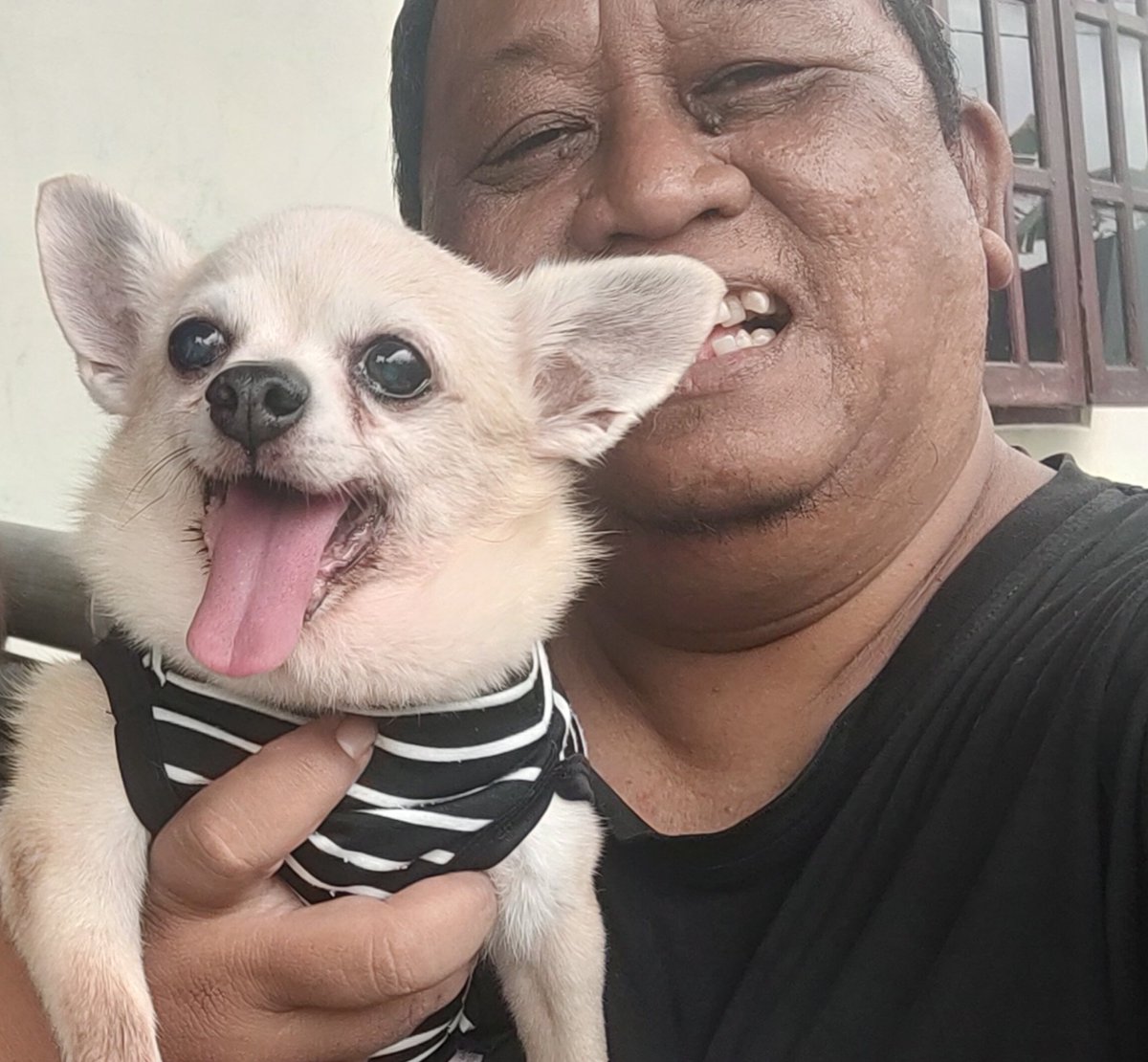 Isnantyo's tweet photo. Ini Vino, sdh 19 tahun,bentar lagi 20 th..walau tuwir,tp tetep ganteng dan lincah. 
Sehat selalu ya no.. https://t.co/JfVm99Yhzq