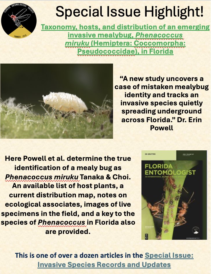 Florida Entomological Society tweet media