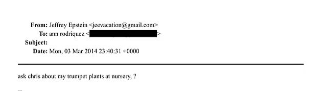 Anonymous TV 🇺🇦 tweet media