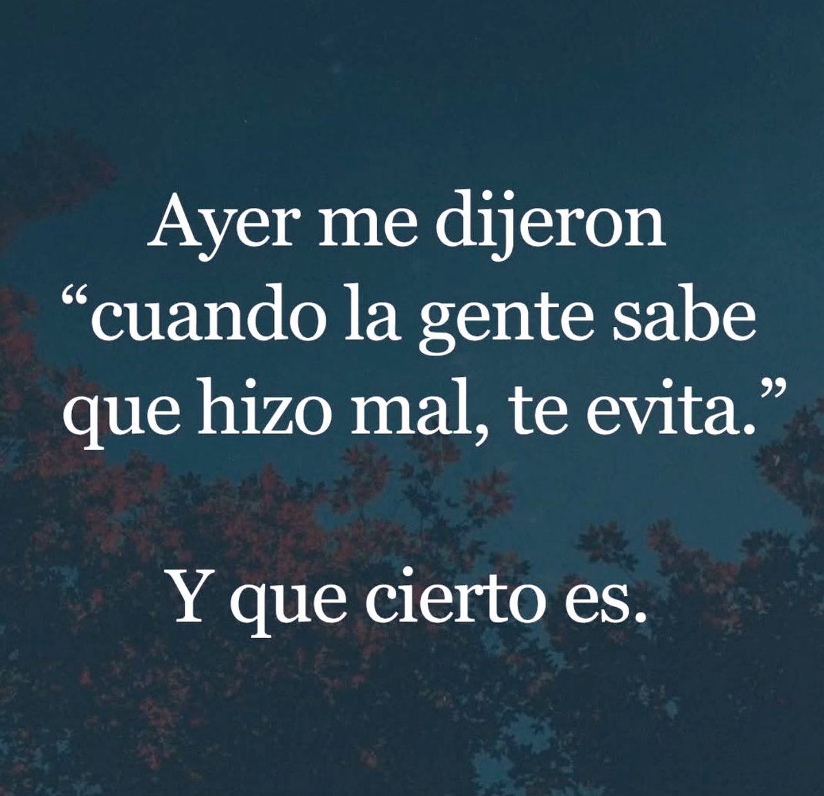 OluMarVas! 🤍 (@oggys1501) on Twitter photo 