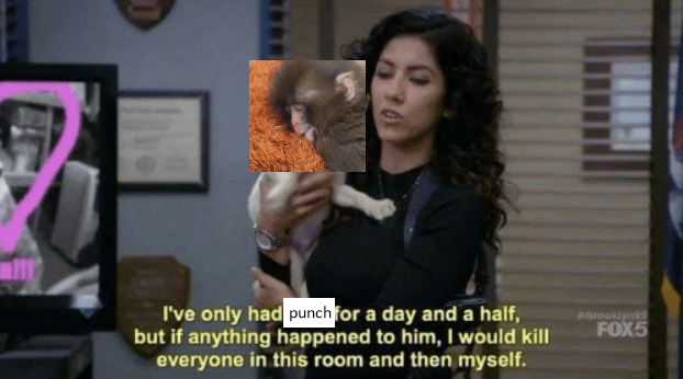 Ben_OnAir 🦊 | @benonairoff.bsky.social (@ben_onair) on Twitter photo 