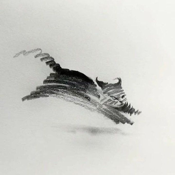 Ramin Nasibov tweet media