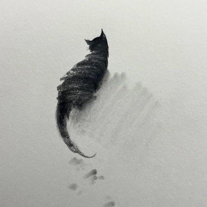 Ramin Nasibov tweet media