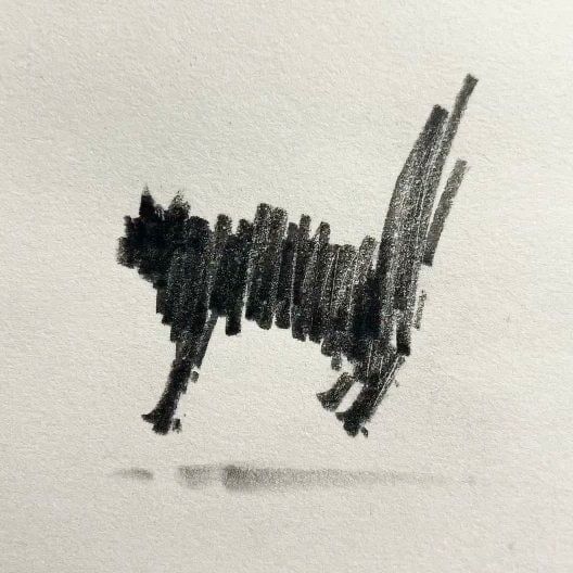 Ramin Nasibov tweet media