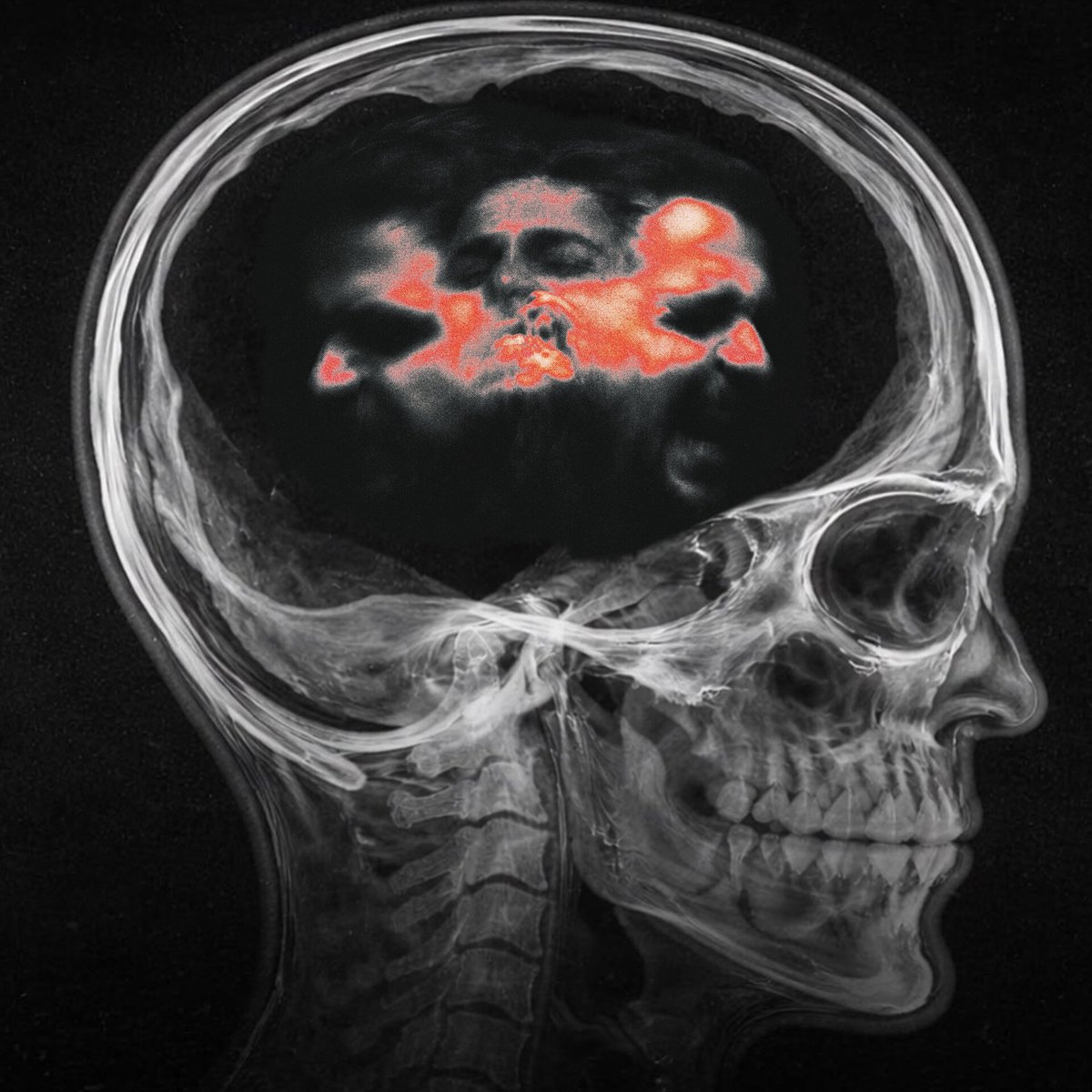 Rumi (@weghrumi) on Twitter photo 